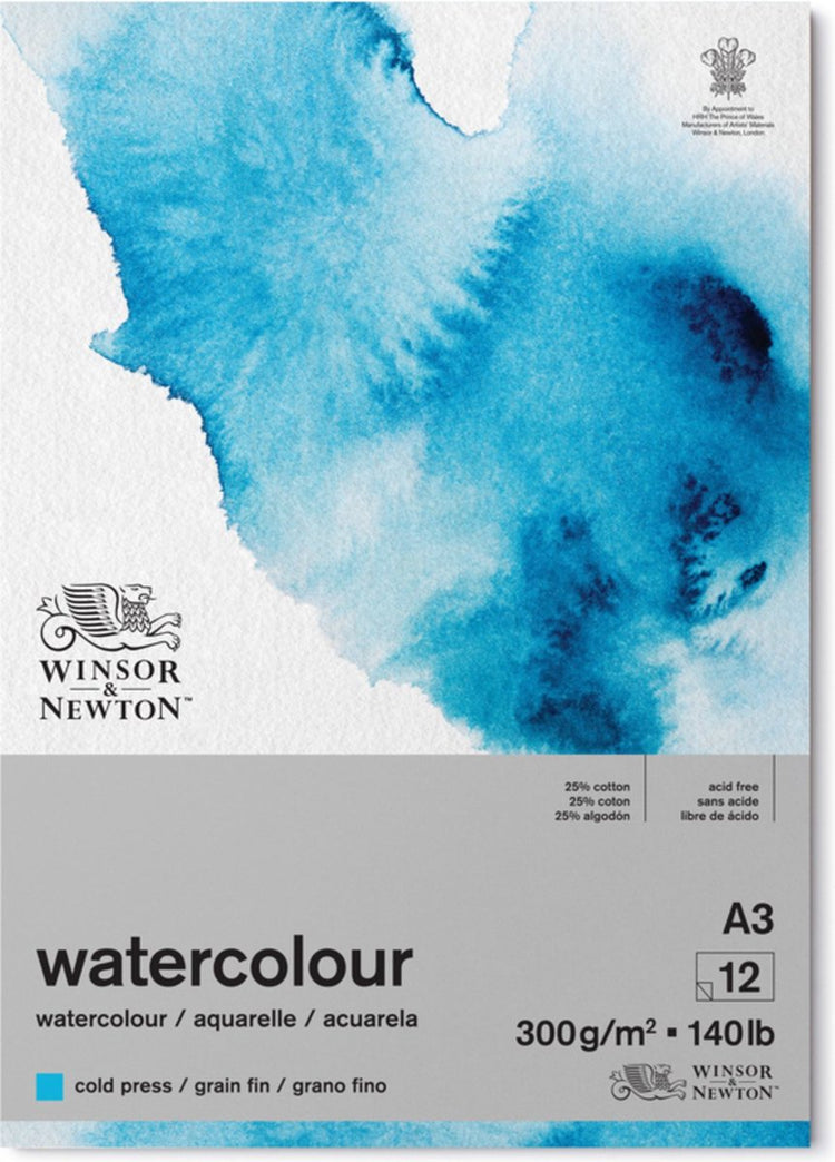 Winsor Newton bloc d'ailerons de grain de papier aquarelle classique 300 grammes A3