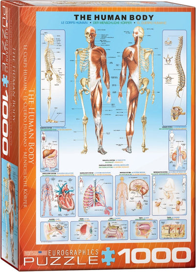 Eurographics - le corps humain - 1000 pièces 48×68cm (l×h) - puzzle