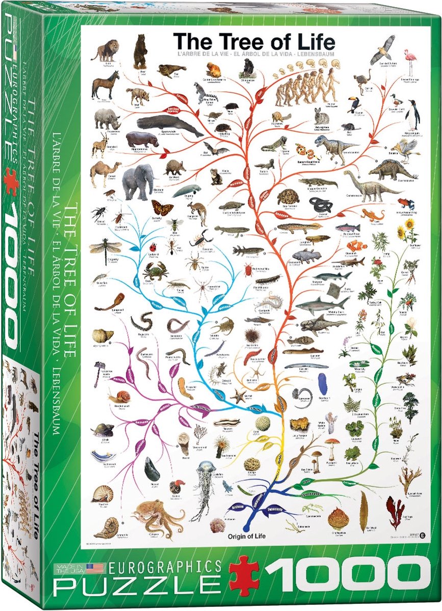Eurographics - l'arbre de vie - diagramme d'évolution - 1000 pièces 48×68cm (l×h) - puzzle