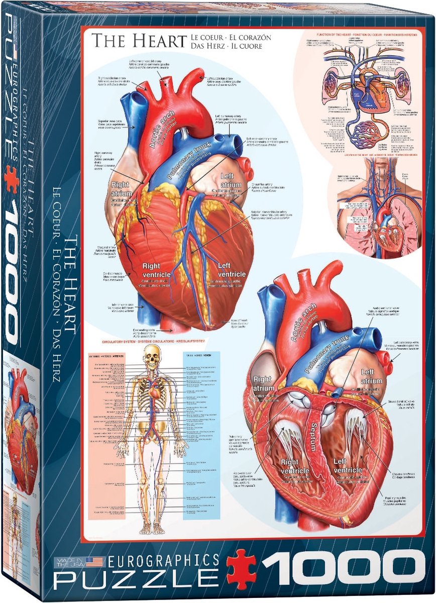 Eurographics - le coeur - 1000 pièces 48×68cm (l×h) - puzzle