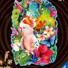 Ravensburger Puzzle en bois en bois beaux oiseaux, 300e.