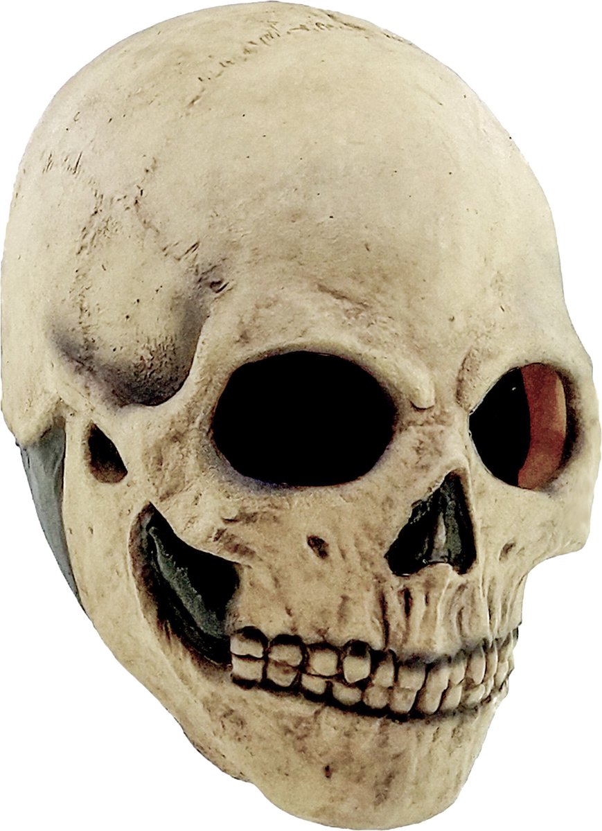 Vegaoo Masque de crâne d'Halloween pour Adultes - Masque de déguisement - Taille Unique