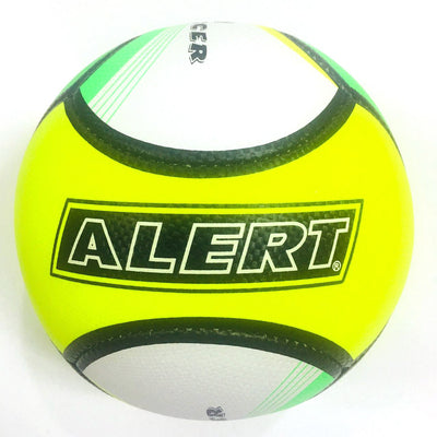 Alerte Alerte Boule de plage taille 5
