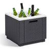 Keter Keter Cool Box Ice Cube Graphite Colored