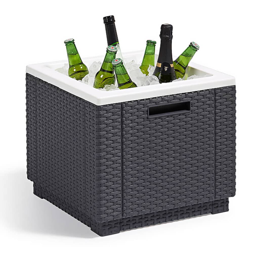 Keter Keter Cool Box Ice Cube Graphite Colored