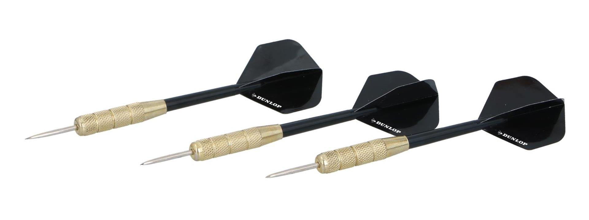 Eddy toys masterdarts fléchettes 20gr sur carte