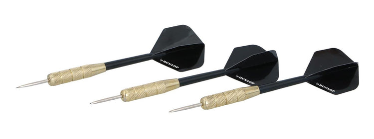 Eddy toys masterdarts fléchettes 20gr sur carte