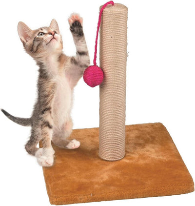 Jouets pour animaux de compagnie maxxpro grattant avec du bois de balle 30 x 35 cm