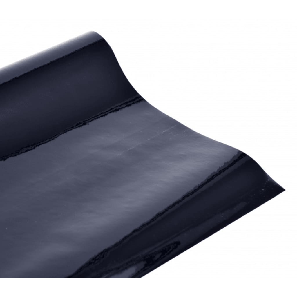 Feuille de fenêtre Carpoint Static 200x76 cm noir