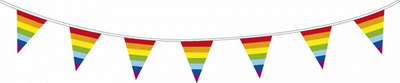 Haza Witbaard Flag Line Rainbow, 10mtr.