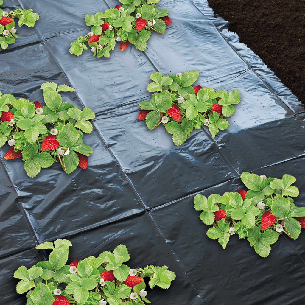 Nature Nature Foil indigène pour AW Stern 1.4x20M 6030231