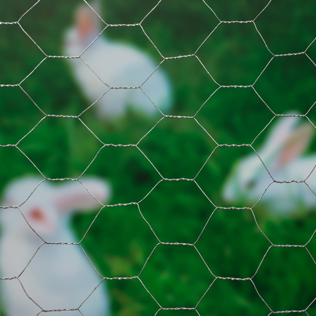 Nature Nature Mesh hexagonale 0,5x10 m 25 mm