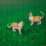 Nature Nature Mesh carré 0,5x5 m 13 mm en acier en revêtement en plastique vert - afbeelding 2