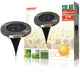 RANEX RANEX RA-5000389 Round LED Ground Spot Brossed en acier en acier inoxydable