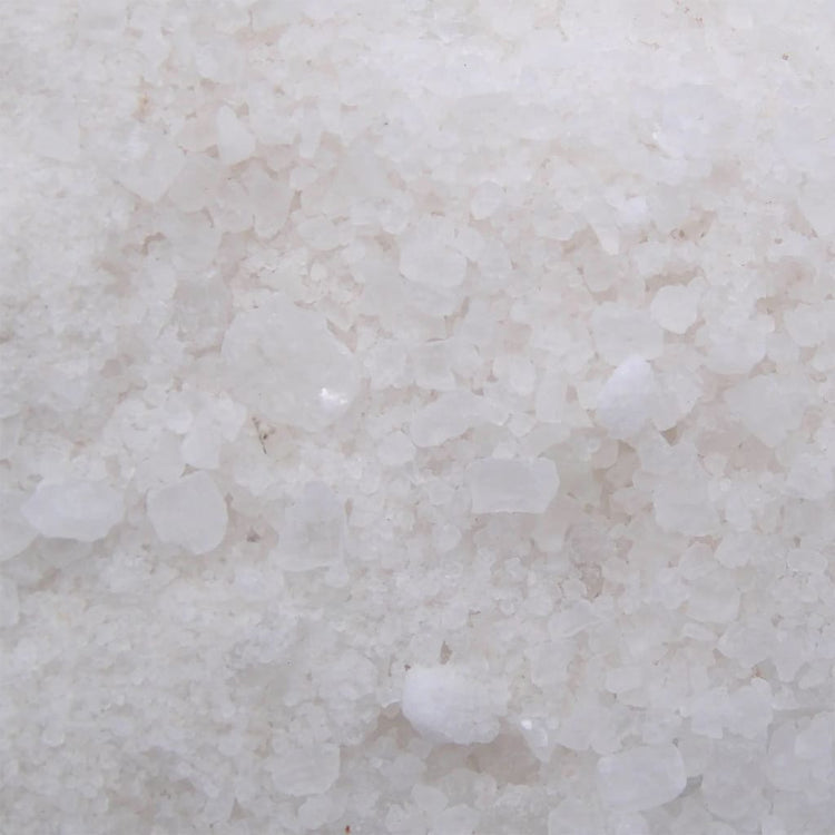 Ubbink ubbink vijverfilter matériel Pondsalt bien sûr 10 L