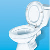 HG HG contre le ciel des toilettes + d'autres odeurs désagréables 0,4 L