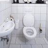 HG HG Eco Toilet Cleaner 500 ml