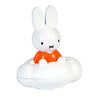 Rubo Toys Rainmaker pour Bath