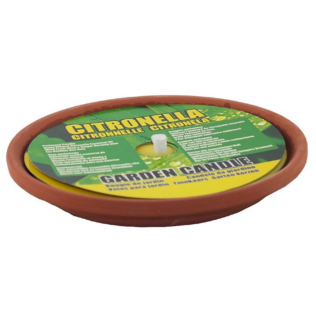 Bougie de base de la citronnelle en terre cuite 14,5 cm