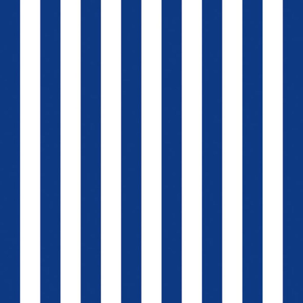Napkins divers 33 cm Stripes Navy Blue FSC Mix