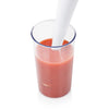 Mixeur plongeant Tristar MX-4801 250w