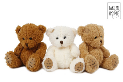 Ramenez-moi à la maison en peluche ours 18 cm 3 assorti