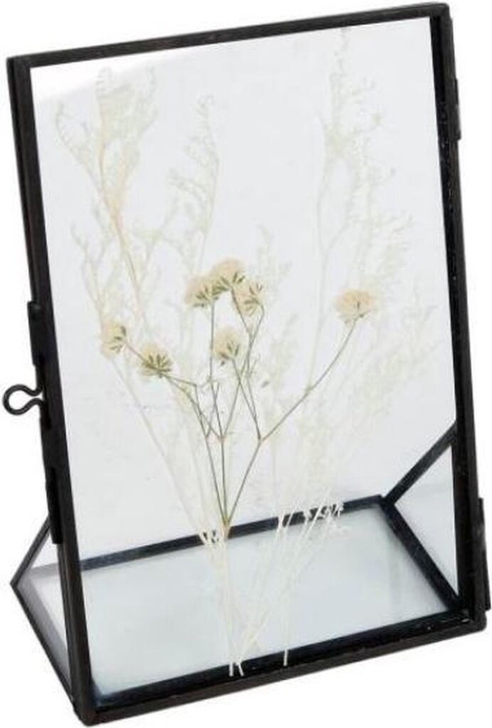 Van manen van manen cadre photo fleurs sèches 11 x 16 cm en verre en acier noir