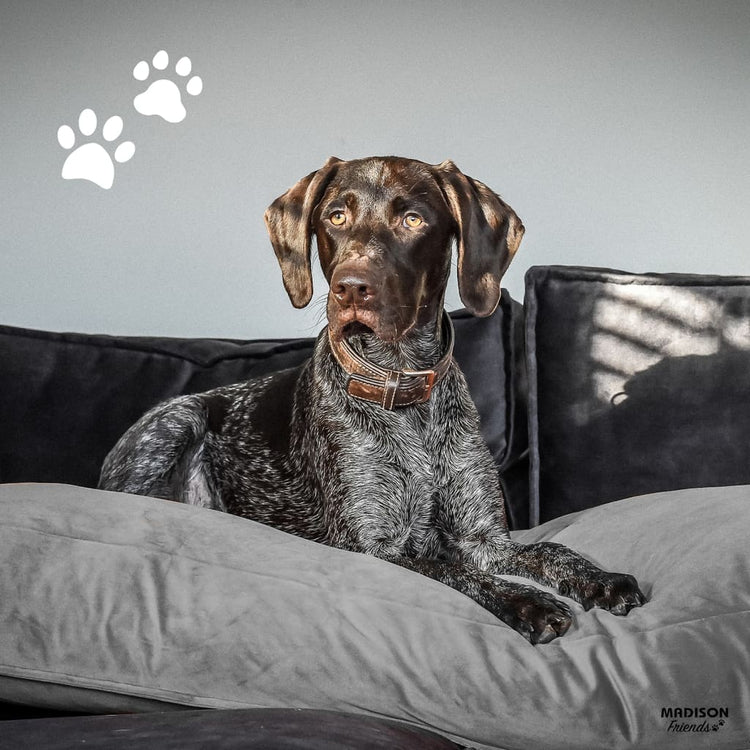 Madison Dog Cushion Velvet 100x70x15 cm Gray