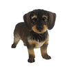 Esschert Design Esschert Design Rough -Haired Dckhund 50x15x27,8 cm