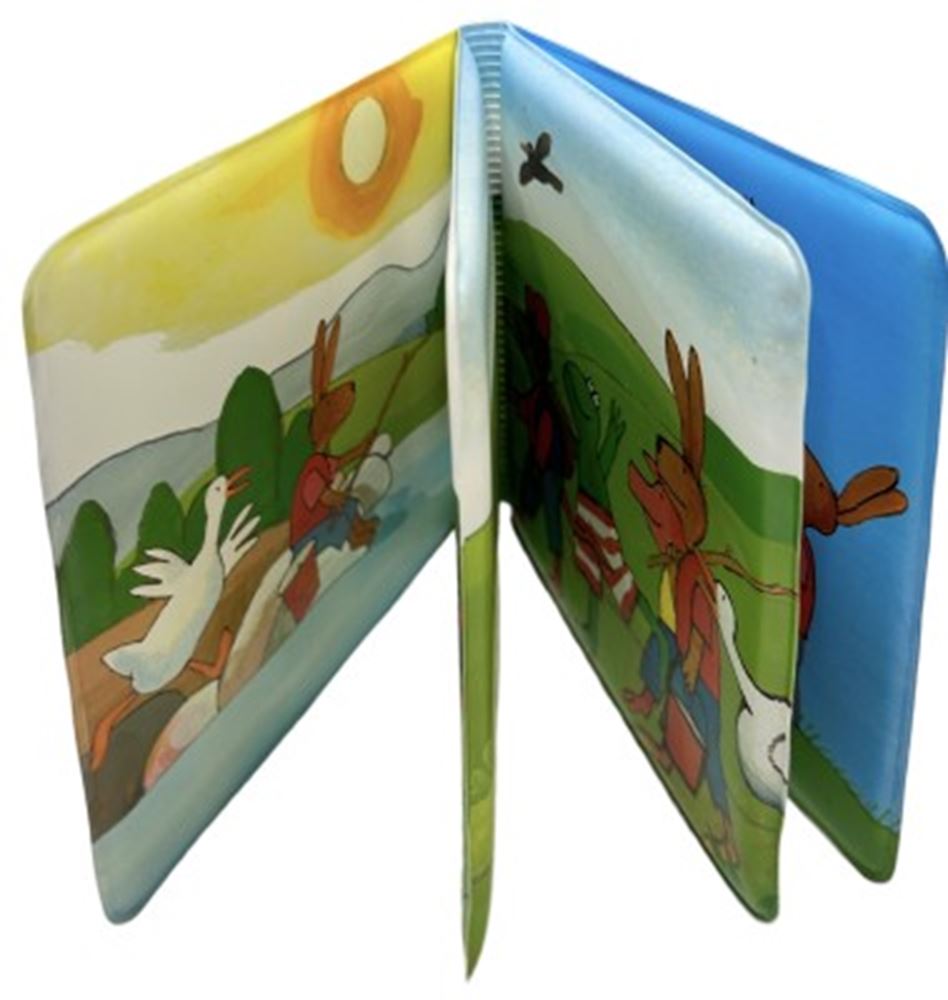 Grenouille bain livre grenouille