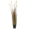 Emerald Emerald Art Plante dans Plastic Pot Pampas Grass 120 cm