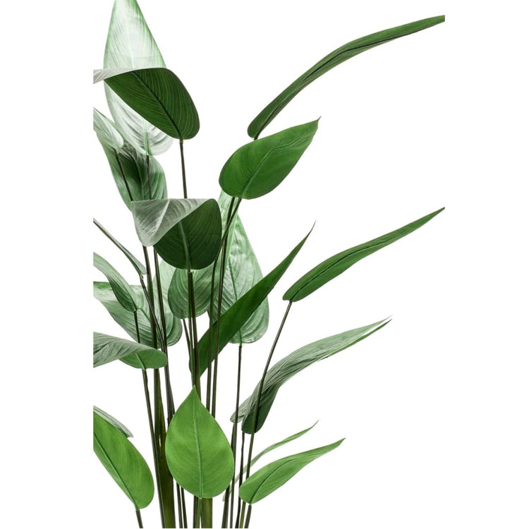 Emeraud Emerald Art Plant Heliconia Plant Green 125 cm 419837