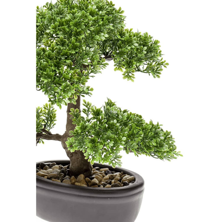 Emerald Emerald Art Plant Mini Bonsai Ficus Green 32 CM 420002