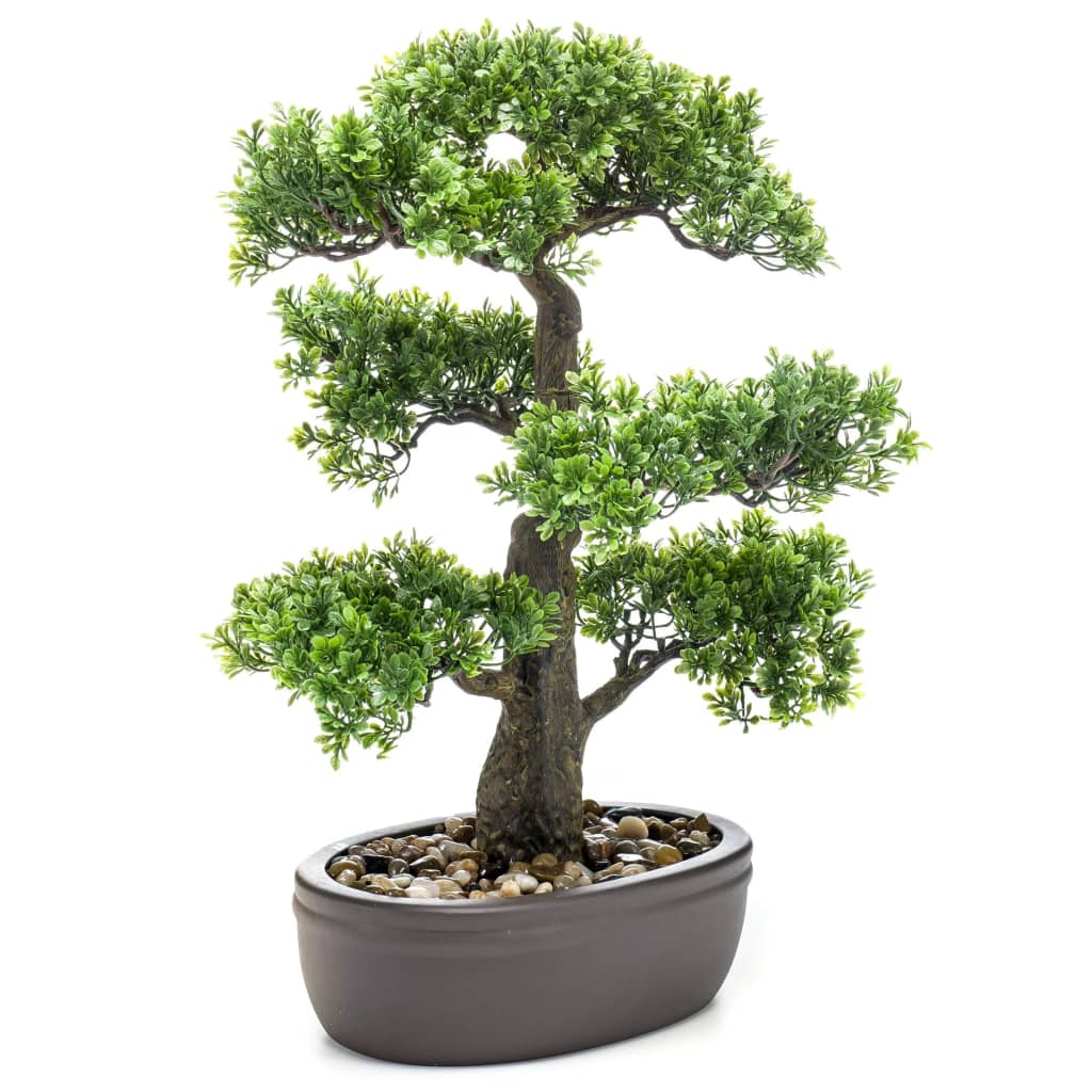 Emeraud Emerald Art Plant in Brown Pot Ficus Minibonsai 43 cm