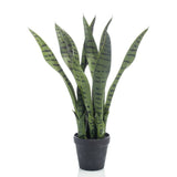 Emerald Emerald Art Plant Sansevieria dans Pot 55 cm - afbeelding 1