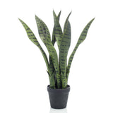 Emerald Emerald Art Plant Sansevieria dans Pot 55 cm - afbeelding 2