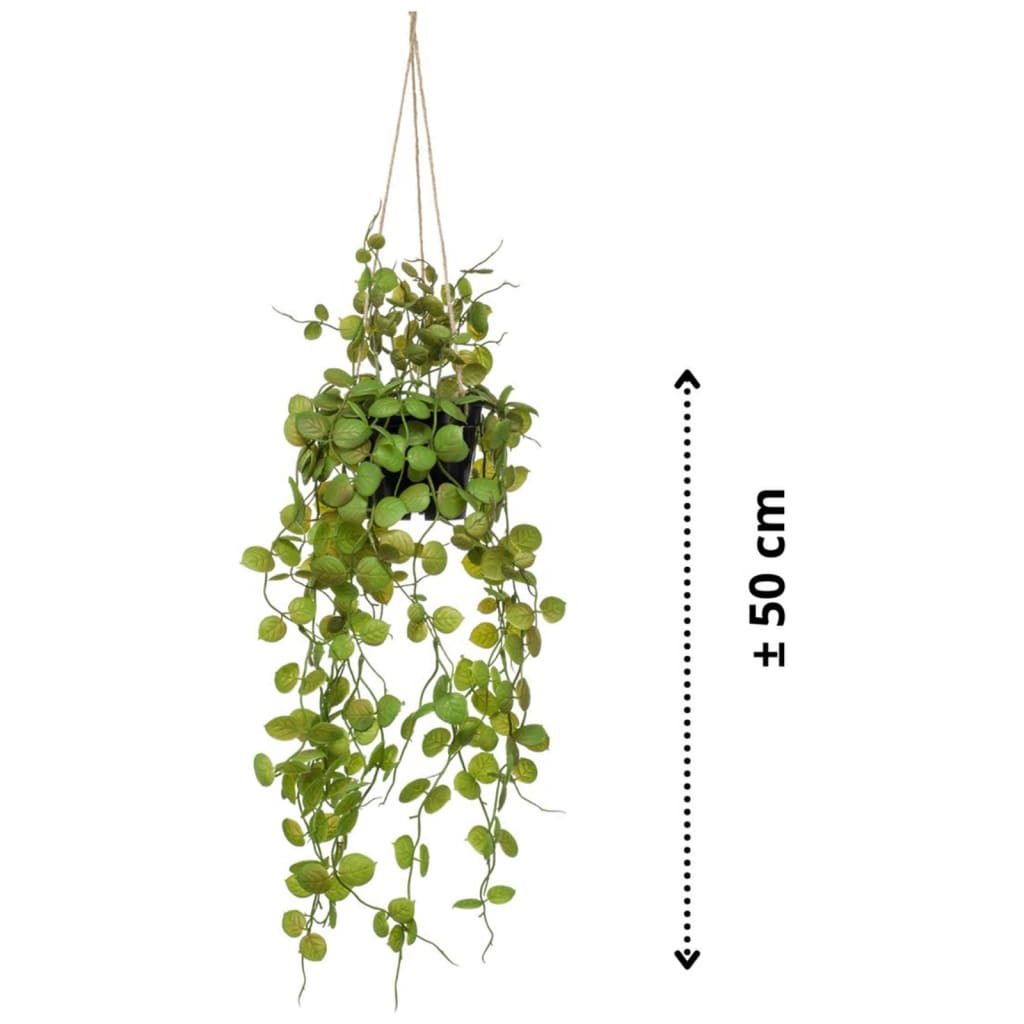Emerald Emerald Art Plant suspendu dans une plante de lanterne en pot 50 cm