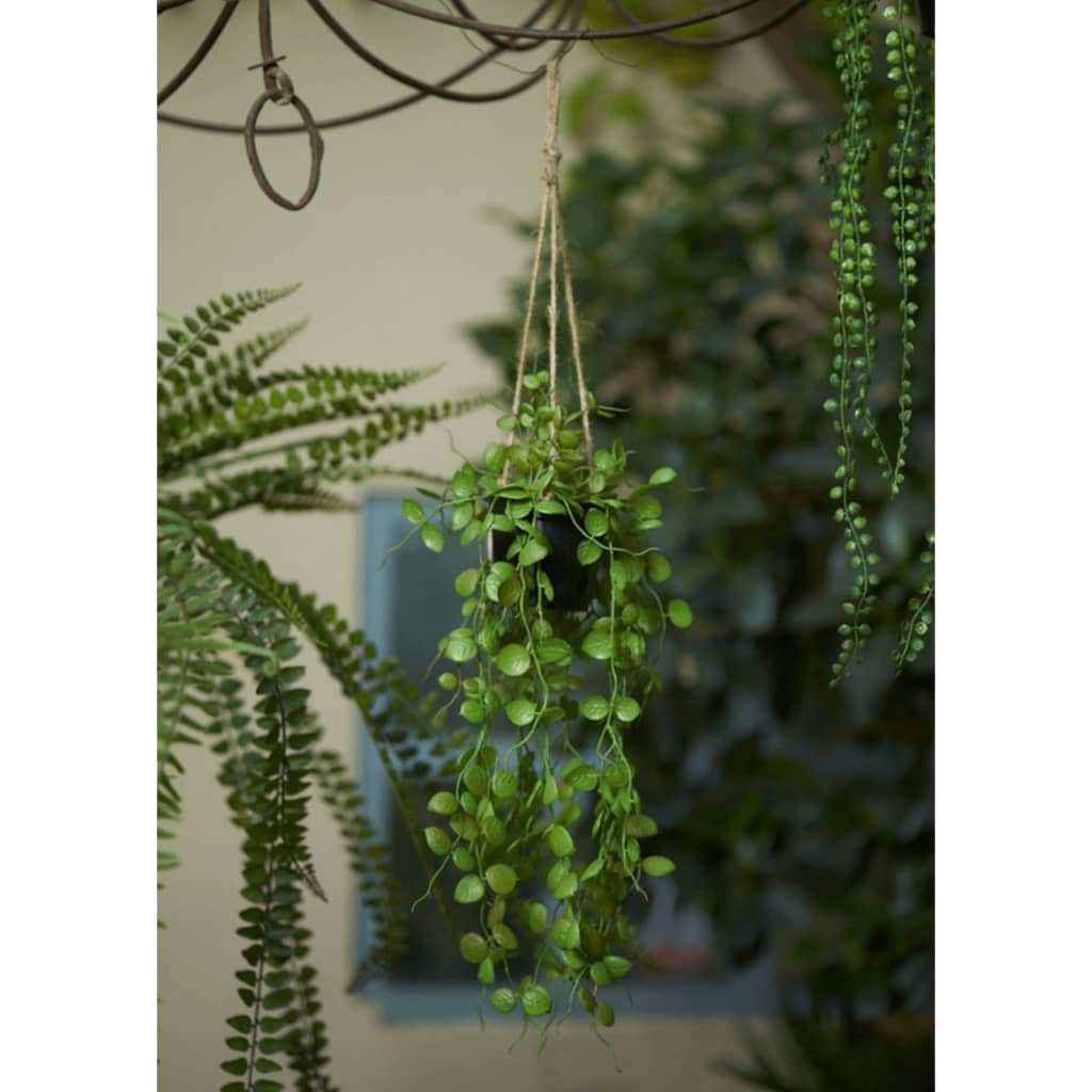 Emerald Emerald Art Plant suspendu dans une plante de lanterne en pot 50 cm