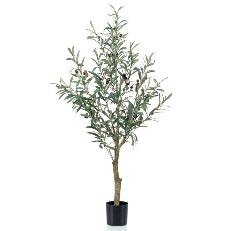 Emerald Emerald Art Plante dans Plastic Pot Olive Tree 115 cm