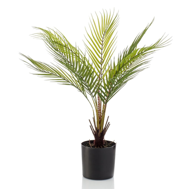 Plante d'art émeraude émeraude en pot Chamaedorea Palm 50 cm