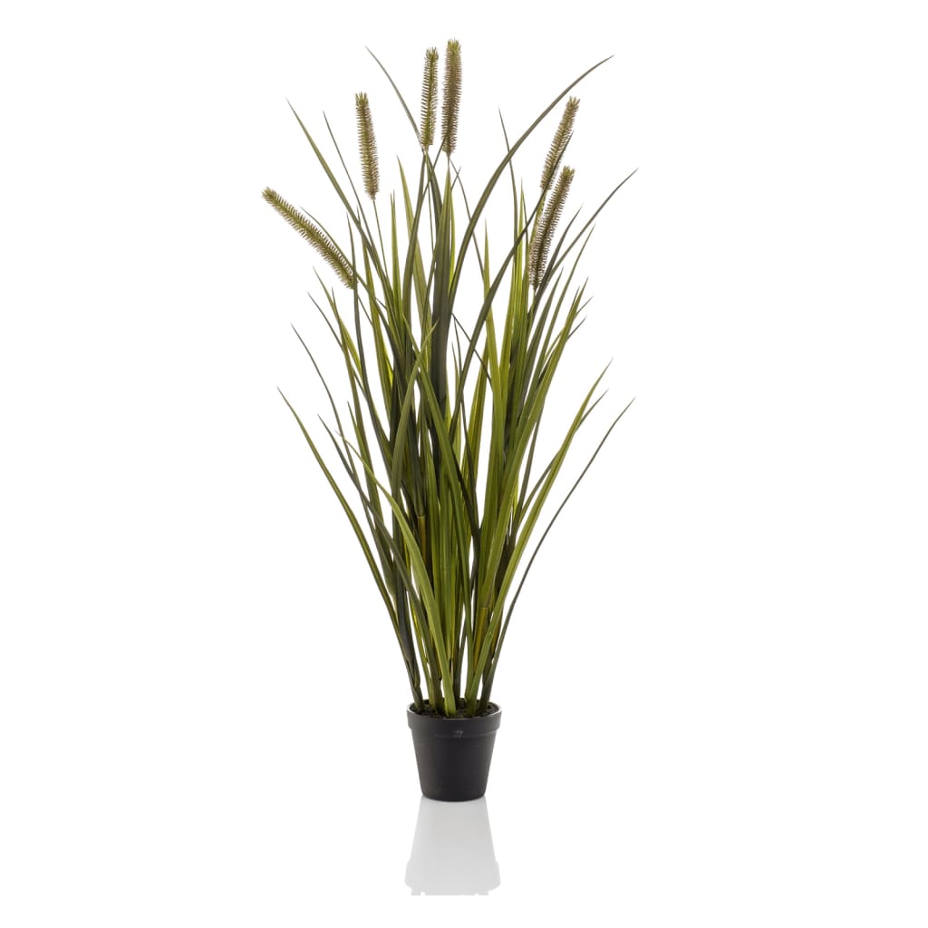 Emerald Emerald Art Plante en pot de la queue de chat 85 cm
