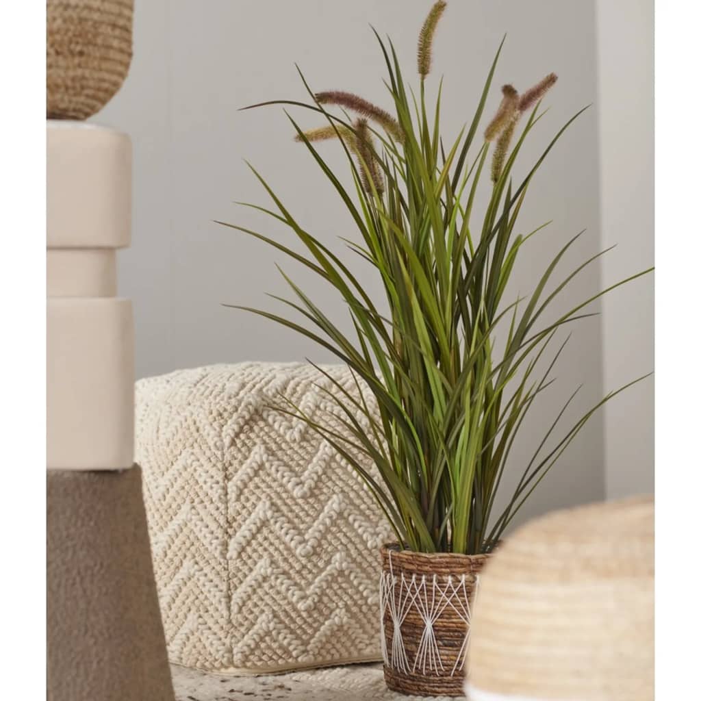 Emerald Emerald Art Plante en pot de la queue de chat 85 cm