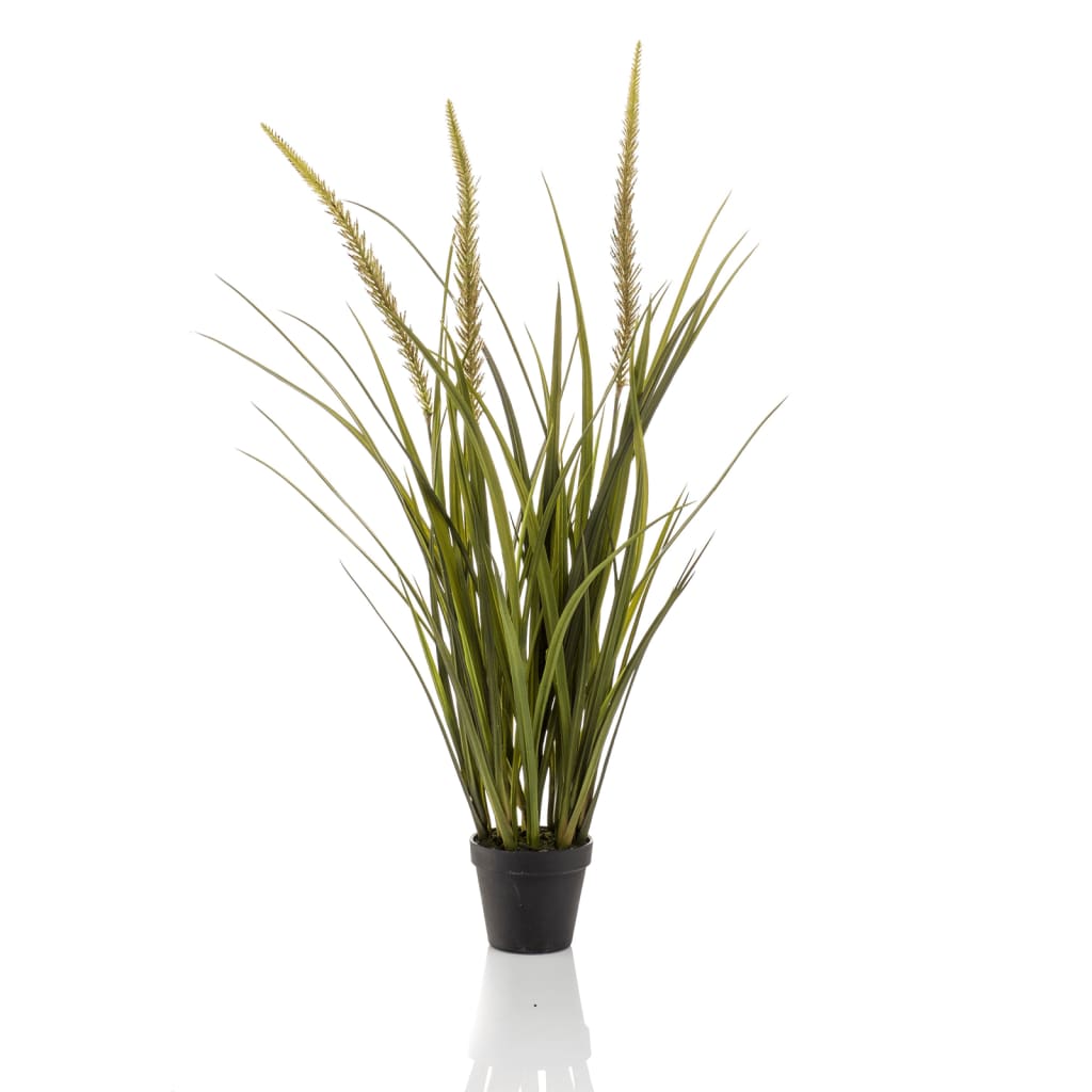 Emerald Emerald Art Plante en pot Vossenstaartgras 90 cm