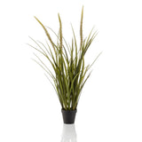 Emerald Emerald Art Plante en pot Vossenstaartgras 90 cm - afbeelding 2