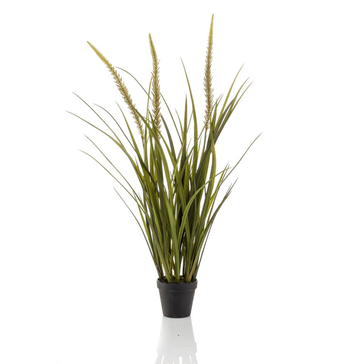 Emerald Emerald Art Plante en pot Vossenstaartgras 90 cm