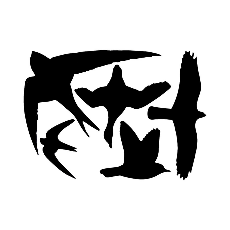 Esschert autocollants de fenêtre design oiseaux