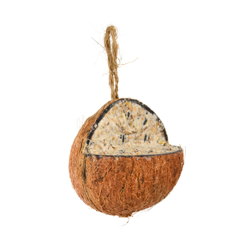 Meilleur pour les oiseaux à la noix de coco remplie de graisse