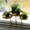 Esschert Design Esschert Design Plant Blad avec pince autour de S Gold colored