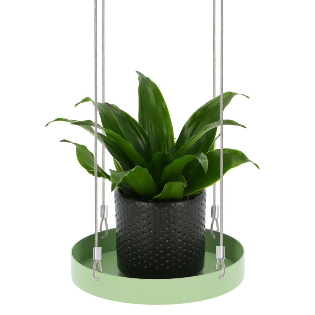 Esschert Design Esschert Design Plant Plante Plongée Round S Green