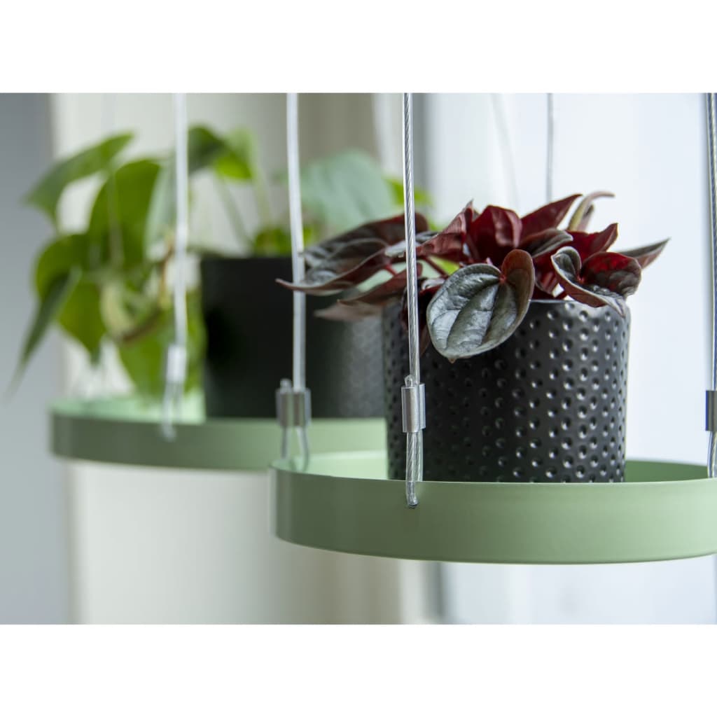 Esschert Design Esschert Design Plant Plante Plongée Round S Green